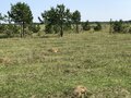 Продажа земельного участка: поселок городского типа Белоярский, городской округ Белоярский, ул. Купеческая , 606 - Фото 5