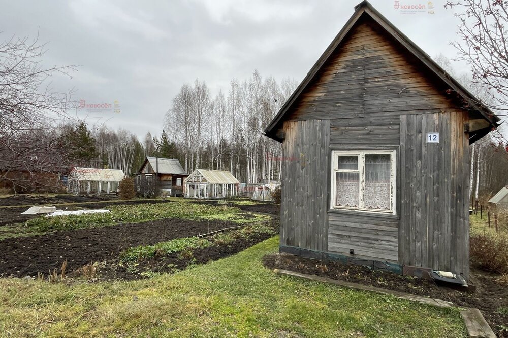 д. Большое Седельниково, С/т Металлург (городской округ Сысертский) - фото сада (3)