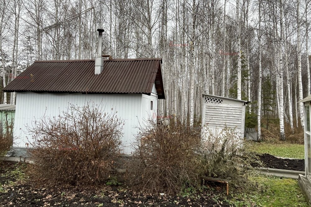 д. Большое Седельниково, С/т Металлург (городской округ Сысертский) - фото сада (5)