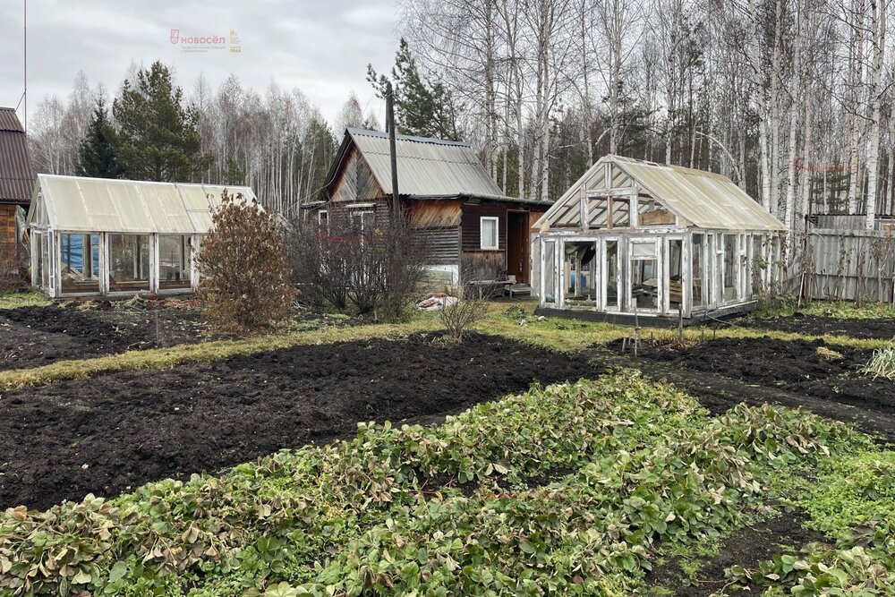д. Большое Седельниково, С/т Металлург (городской округ Сысертский) - фото сада (7)