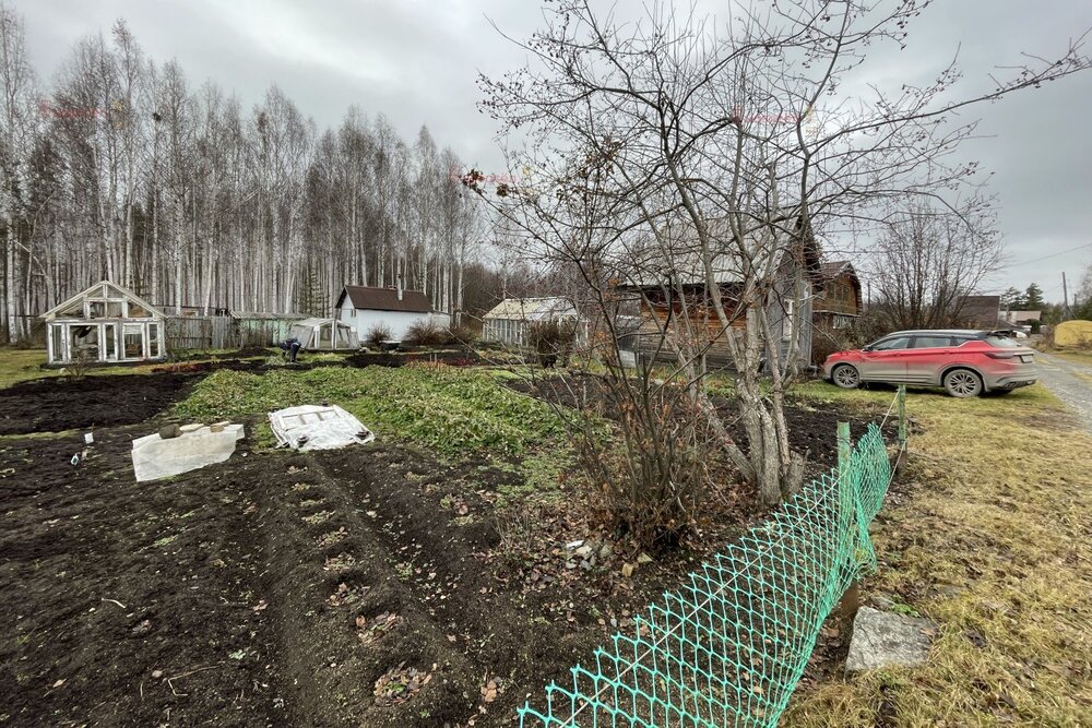 д. Большое Седельниково, С/т Металлург (городской округ Сысертский) - фото сада (8)