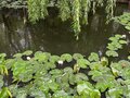 Продажа дома: п. Зеленый дол, ул. Февральская, 4а (городской округ Березовский) - Фото 4