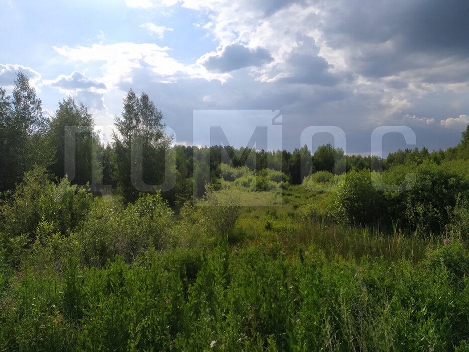 п. Большой Исток, ул. Парковая, 12 (городской округ Сысертский) - фото земельного участка (3)