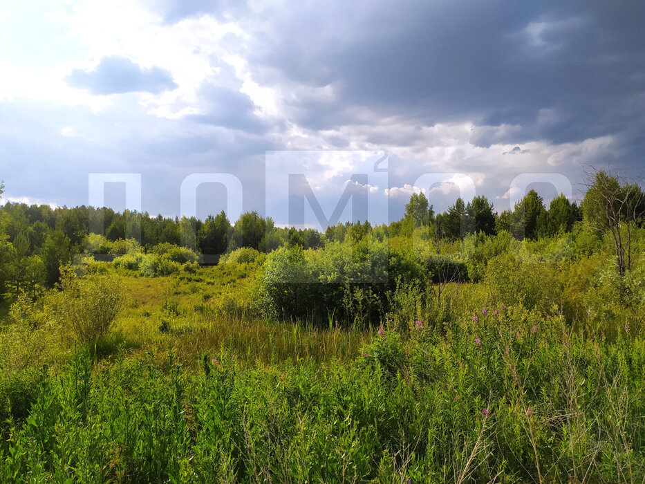 п. Большой Исток, ул. Парковая, 12 (городской округ Сысертский) - фото земельного участка (4)