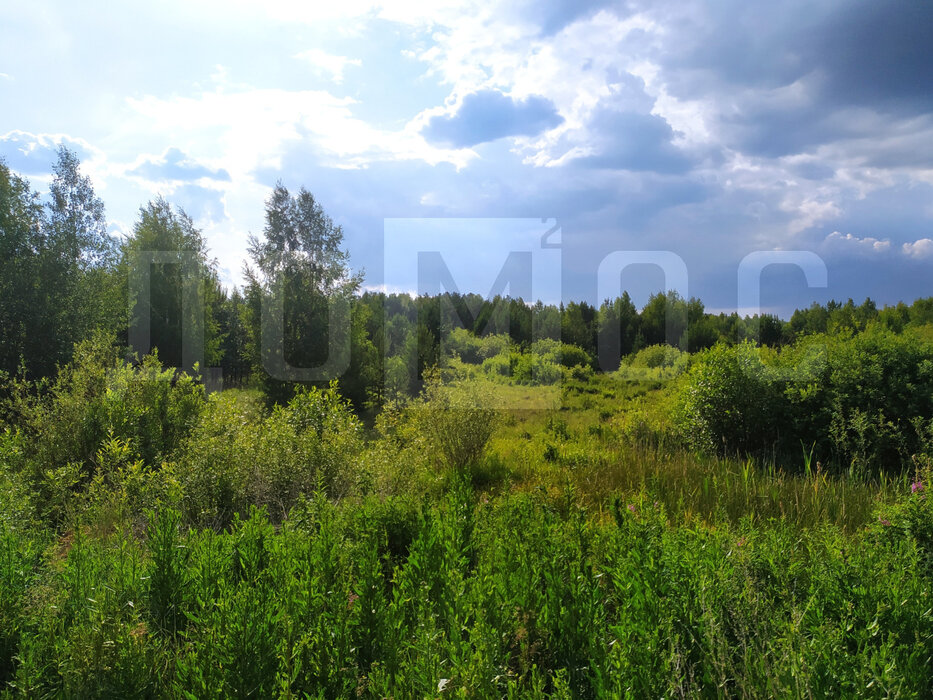 п. Большой Исток, ул. Парковая, 12 (городской округ Сысертский) - фото земельного участка (5)
