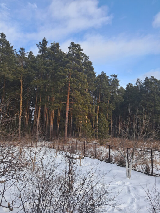 с. Никольское (г.о. Сысертский), ул. Октябрьская, 6 (городской округ Сысертский) - фото земельного участка (3)