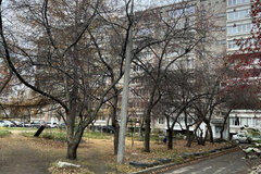 Екатеринбург, ул. Старых Большевиков, 54 (Эльмаш) - фото квартиры