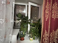 Продажа комнат: Екатеринбург, ул. Космонавтов, 70 (Эльмаш) - Фото 3