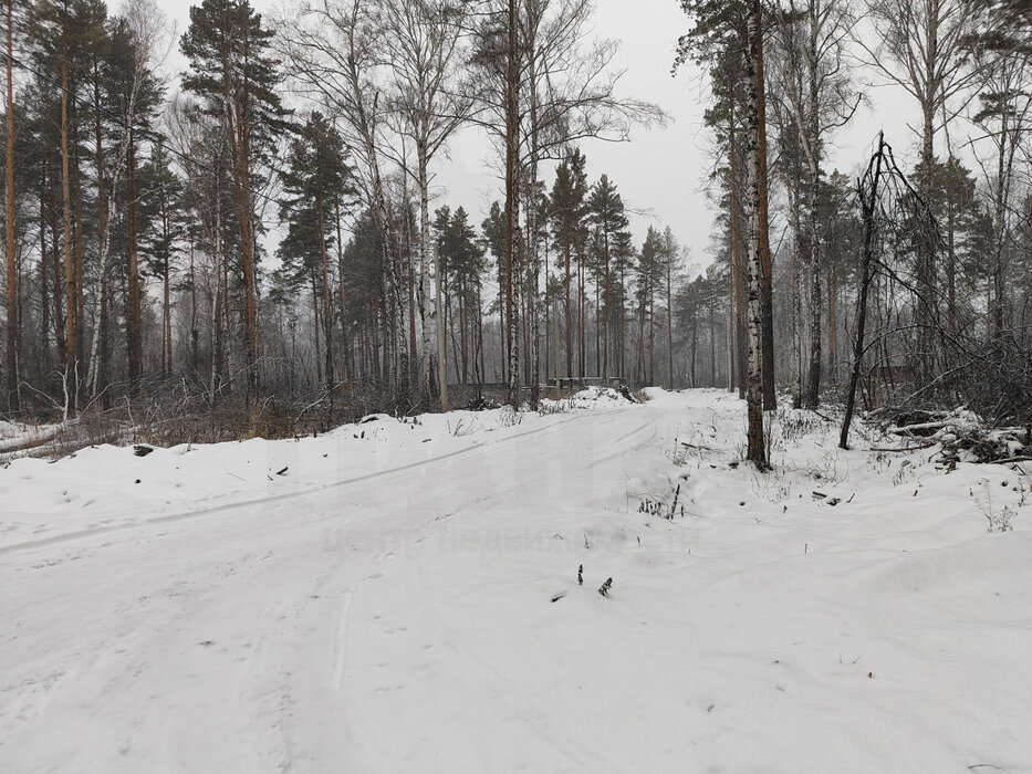 с. Курганово, ул. поселок Кургановский (городской округ Полевской) - фото земельного участка (2)