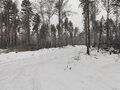 Продажа земельного участка: с. Курганово, ул. поселок Кургановский (городской округ Полевской) - Фото 2