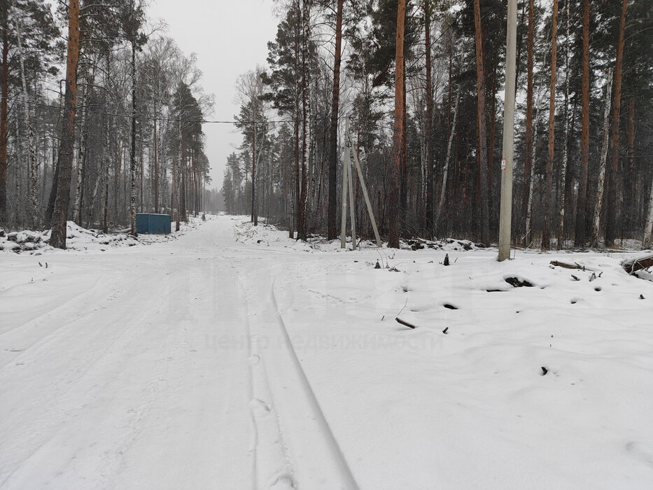 с. Курганово, ул. поселок Кургановский (городской округ Полевской) - фото земельного участка (3)