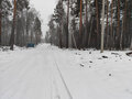 Продажа земельного участка: с. Курганово, ул. поселок Кургановский (городской округ Полевской) - Фото 3