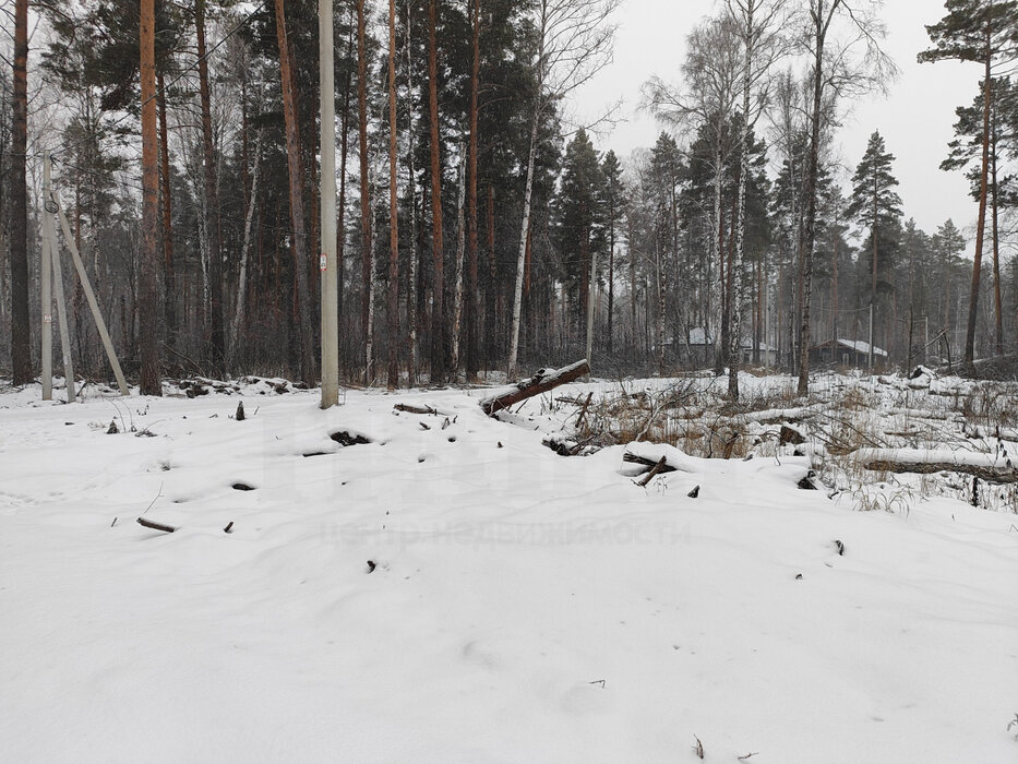 с. Курганово, ул. поселок Кургановский (городской округ Полевской) - фото земельного участка (5)