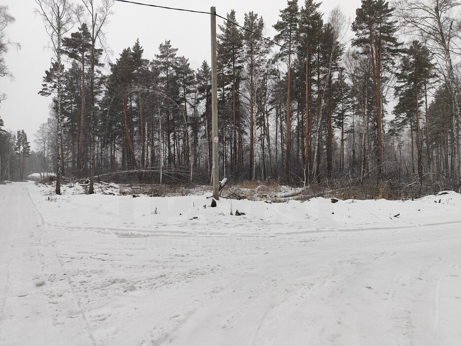 с. Курганово, ул. поселок Кургановский (городской округ Полевской) - фото земельного участка (6)