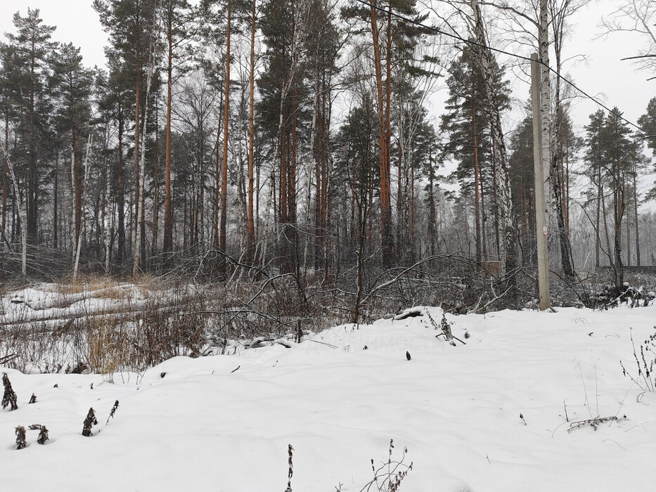 с. Курганово, ул. поселок Кургановский (городской округ Полевской) - фото земельного участка (7)
