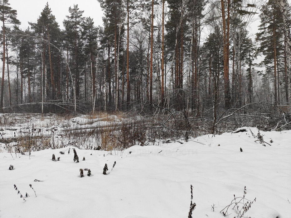 с. Курганово, ул. поселок Кургановский (городской округ Полевской) - фото земельного участка (8)