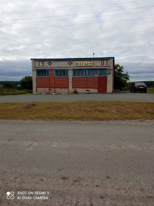 д. Билейка, ул. Советская, 10А (городской округ Богданович) - фото торговой площади (1)