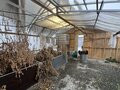 Аренда земельного участка коммерческого назначения: Екатеринбург, ул. Титова, 60 (Горный щит) - Фото 7