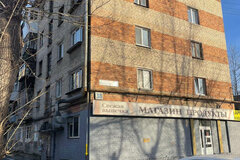 Екатеринбург, ул. Техническая, 38 (Старая Сортировка) - фото квартиры