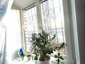 Продажа квартиры: Екатеринбург, ул. Самолетная, 5к4 (Уктус) - Фото 6
