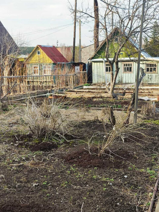 г. Первоуральск, СНТ №37 (городской округ Первоуральск) - фото сада (6)