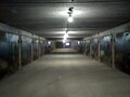 Продажа гаража, паркинга: Екатеринбург, ул. Садоводов, 14 (Юго-Западный) - Фото 6