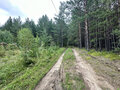 Продажа садового участка: с. Кашино, КС Бытовик (городской округ Сысертский) - Фото 1