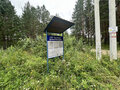 Продажа садового участка: с. Кашино, КС Бытовик (городской округ Сысертский) - Фото 4