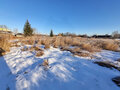 Продажа дома: с. Федьковка, ул. Ленина, 24 (городской округ Невьянский) - Фото 8