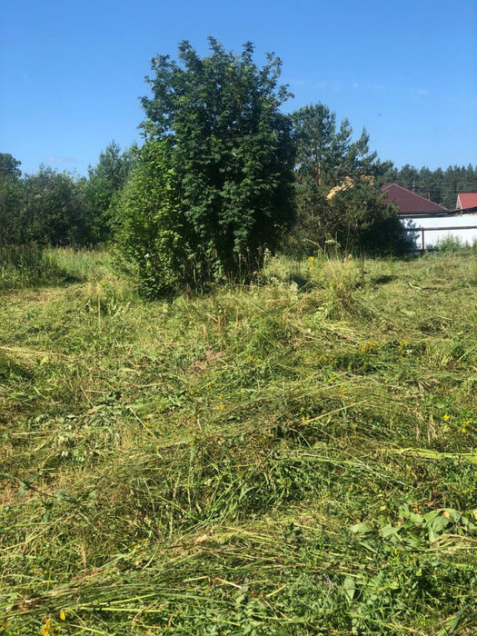 с. Кашино, ул. Энтузиастов, 5а (городской округ Сысертский) - фото земельного участка (4)
