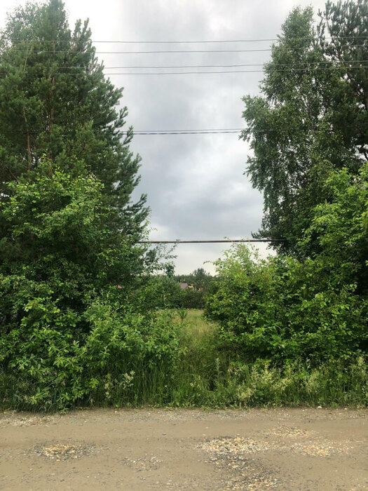 с. Кашино, ул. Энтузиастов, 5а (городской округ Сысертский) - фото земельного участка (5)
