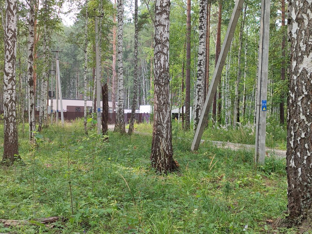 к.п. Острова (городской округ Белоярский, п.Растущий) - фото земельного участка (2)