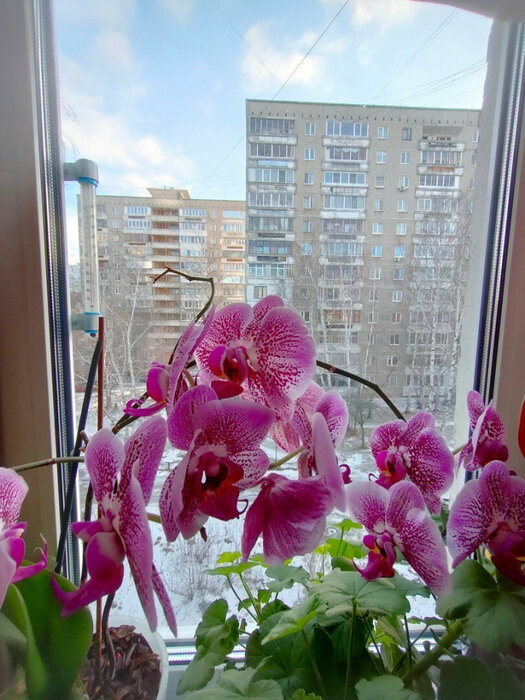 Екатеринбург, ул. Волгоградская, 188 (Юго-Западный) - фото квартиры (2)