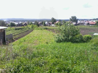 п. Бисерть, ул. Луговая, 22 (Нижнесергинский район) - фото земельного участка (4)