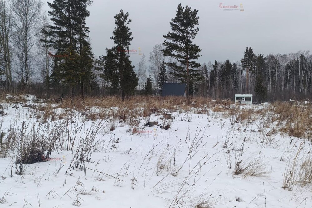 п. Крутой, ул. ТСН Луговое, 6 (городской округ Верхняя Пышма) - фото земельного участка (2)