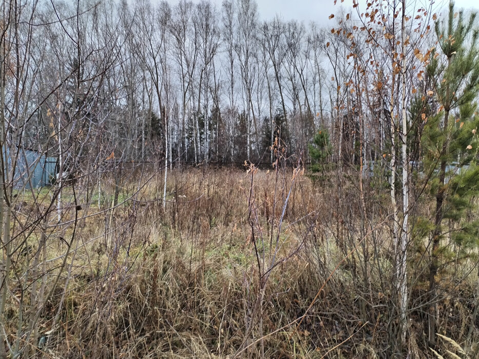 Екатеринбург, ул. Глубочинский (Кольцово) - фото земельного участка (7)