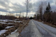 п. Верх-Нейвинский, ул. 2 Березовая (городской округ Верх-Нейвинский) - фото земельного участка