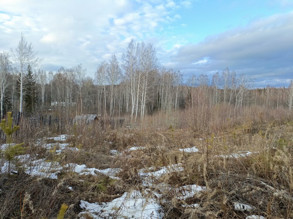 п. Верх-Нейвинский, ул. 2 Березовая (городской округ Верх-Нейвинский) - фото земельного участка (3)
