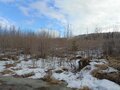 Продажа земельного участка: п. Верх-Нейвинский, ул. 2 Березовая (городской округ Верх-Нейвинский) - Фото 4