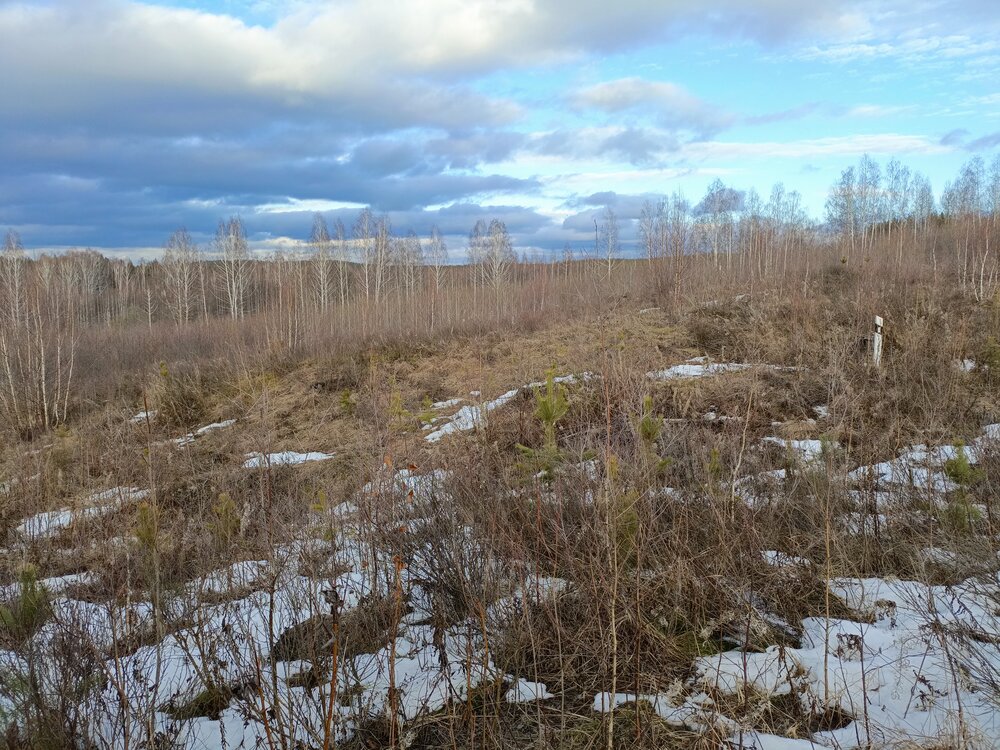 п. Верх-Нейвинский, ул. 2 Березовая (городской округ Верх-Нейвинский) - фото земельного участка (5)
