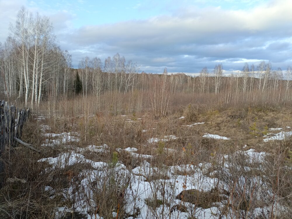 п. Верх-Нейвинский, ул. 2 Березовая (городской округ Верх-Нейвинский) - фото земельного участка (6)