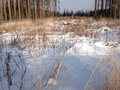 Продажа земельного участка: г. Ревда, ул. Облепиховая (городской округ Ревда) - Фото 1