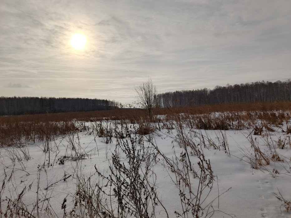 п. Прохладный (городской округ Белоярский) - фото земельного участка (1)
