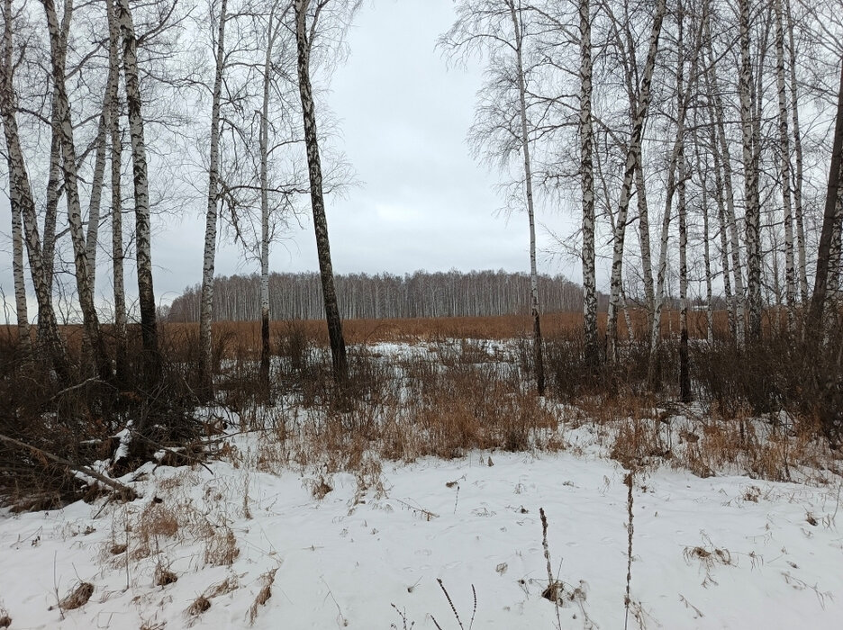 п. Прохладный (городской округ Белоярский) - фото земельного участка (2)