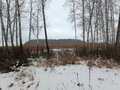 Продажа земельного участка коммерческого назначения: п. Прохладный (городской округ Белоярский) - Фото 2