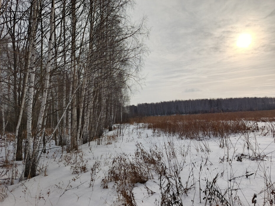 п. Прохладный (городской округ Белоярский) - фото земельного участка (3)