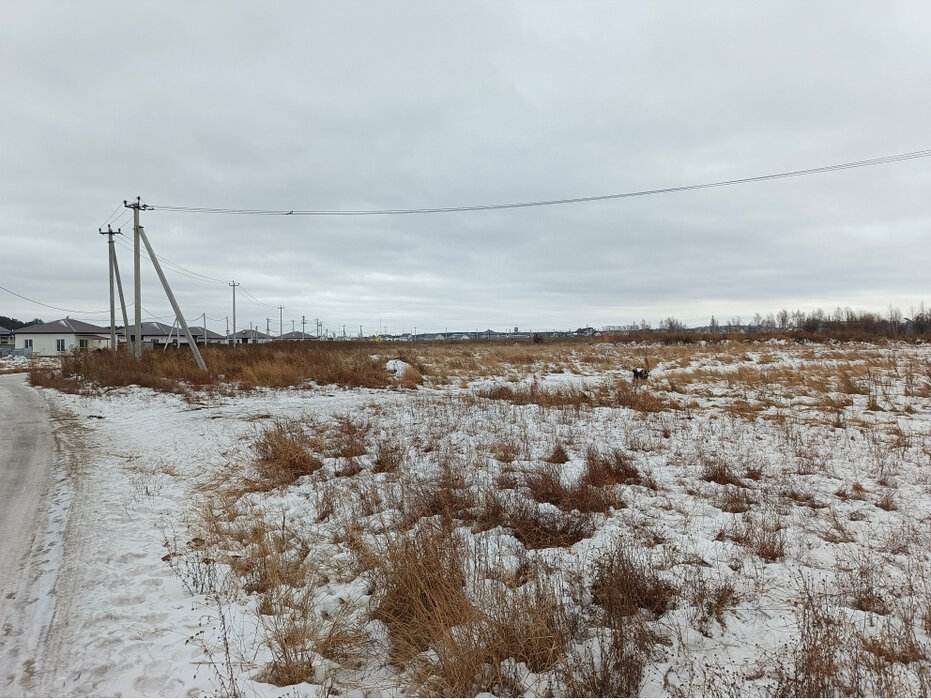 п. Прохладный (городской округ Белоярский) - фото земельного участка (3)