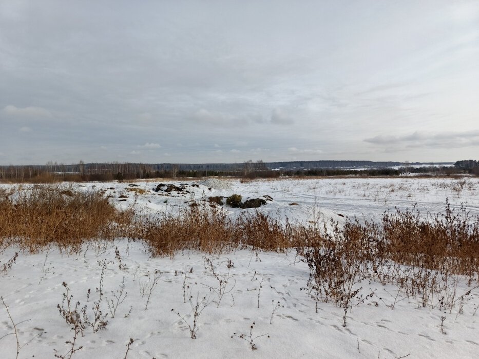 п. Прохладный (городской округ Белоярский) - фото земельного участка (4)
