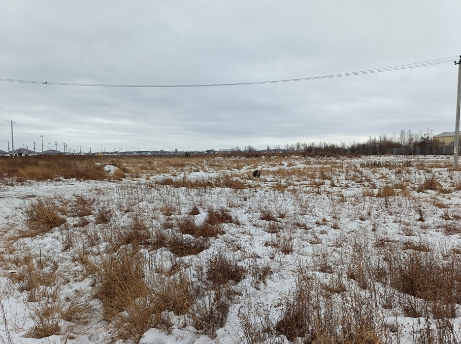 п. Прохладный (городской округ Белоярский) - фото земельного участка (5)