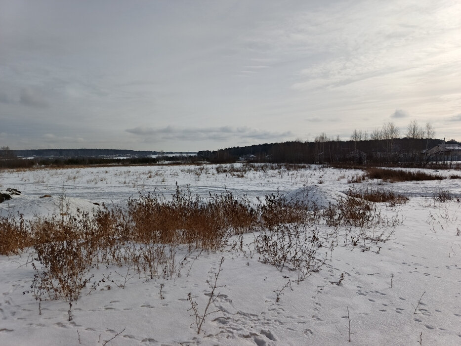 п. Прохладный (городской округ Белоярский) - фото земельного участка (6)